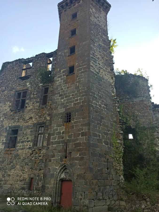 Maison Typique Auvergnate, Piscine Et Four A Pain Saint-Christophe-Les-Gorges Exterior foto