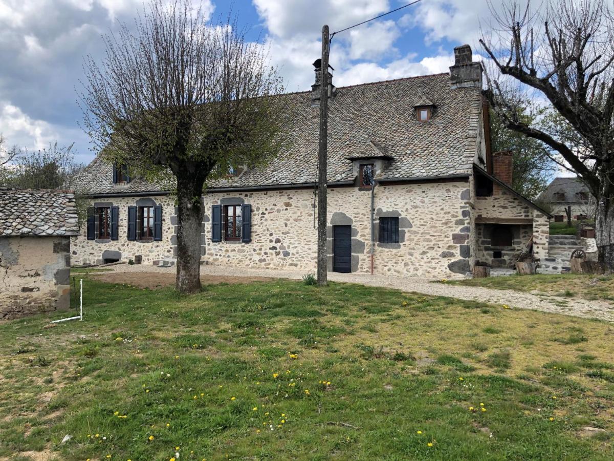 Maison Typique Auvergnate, Piscine Et Four A Pain Saint-Christophe-Les-Gorges Exterior foto