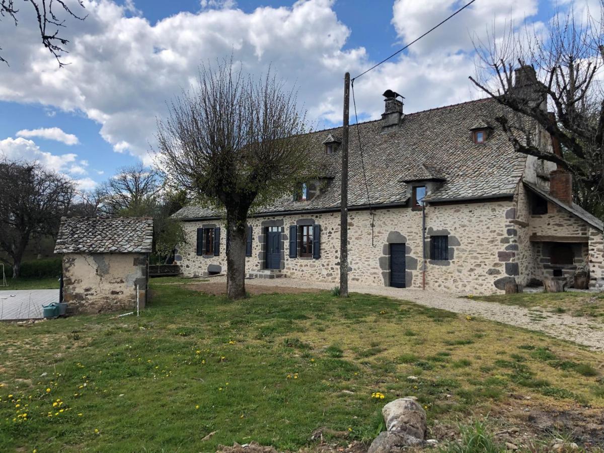 Maison Typique Auvergnate, Piscine Et Four A Pain Saint-Christophe-Les-Gorges Exterior foto