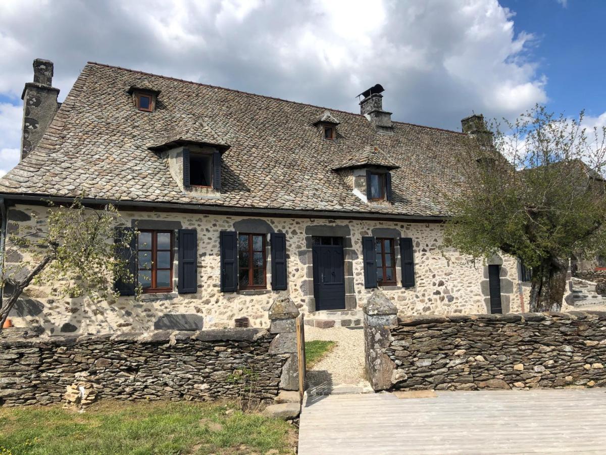 Maison Typique Auvergnate, Piscine Et Four A Pain Saint-Christophe-Les-Gorges Exterior foto